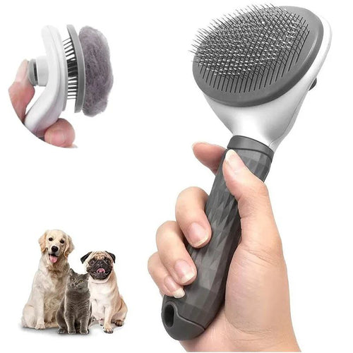Haz que tu Mascota Luzca Impecable todos los días, Sin Esfuerzo ni Estrés